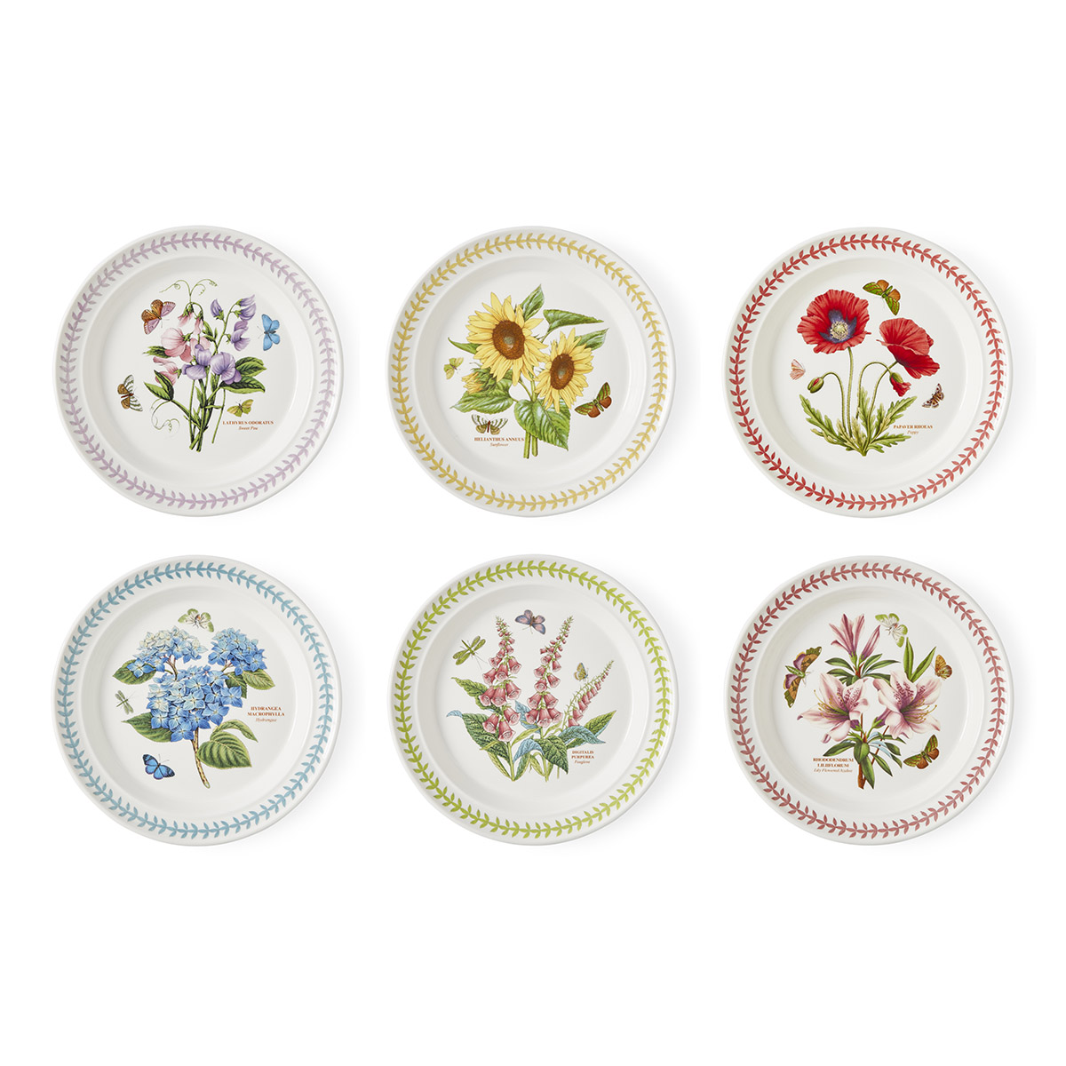 Botanic Garden Meadow 10" Plate Set of 6 image number null